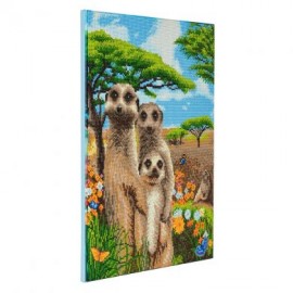 Craft Buddy Crystal Art Pre-Framed Canvas Kit - Meerkat Family 40cm x 50cm