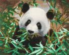Craft Buddy Crystal Art Pre-Framed Canvas Kit - Friendly Panda 40cm x 50cm