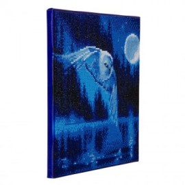 Craft Buddy Crystal Art Canvas Kit - Soaring Owl 30cm x 30cm