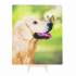 Crystal Art Easel Kits