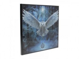 Awaken Your Magic (Anne Stokes) Small Crystal Clear Picture 25cm