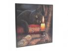 Witching Hour (Lisa Parker) Small Crystal Clear Picture 25cm