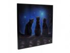 Wish Upon a Star (Lisa Parker) Small Crystal Clear Picture 25cm