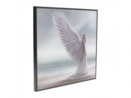 Spirit Guide (Anne Stokes) Small Crystal Clear Picture 25cm